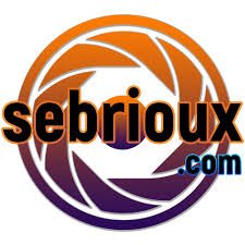 Partenaire temporaire