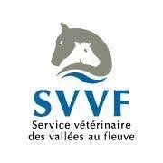 Partenaire temporaire
