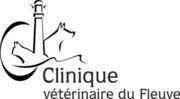 Partenaire temporaire