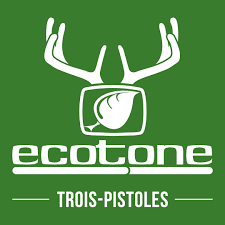 Partenaire temporaire