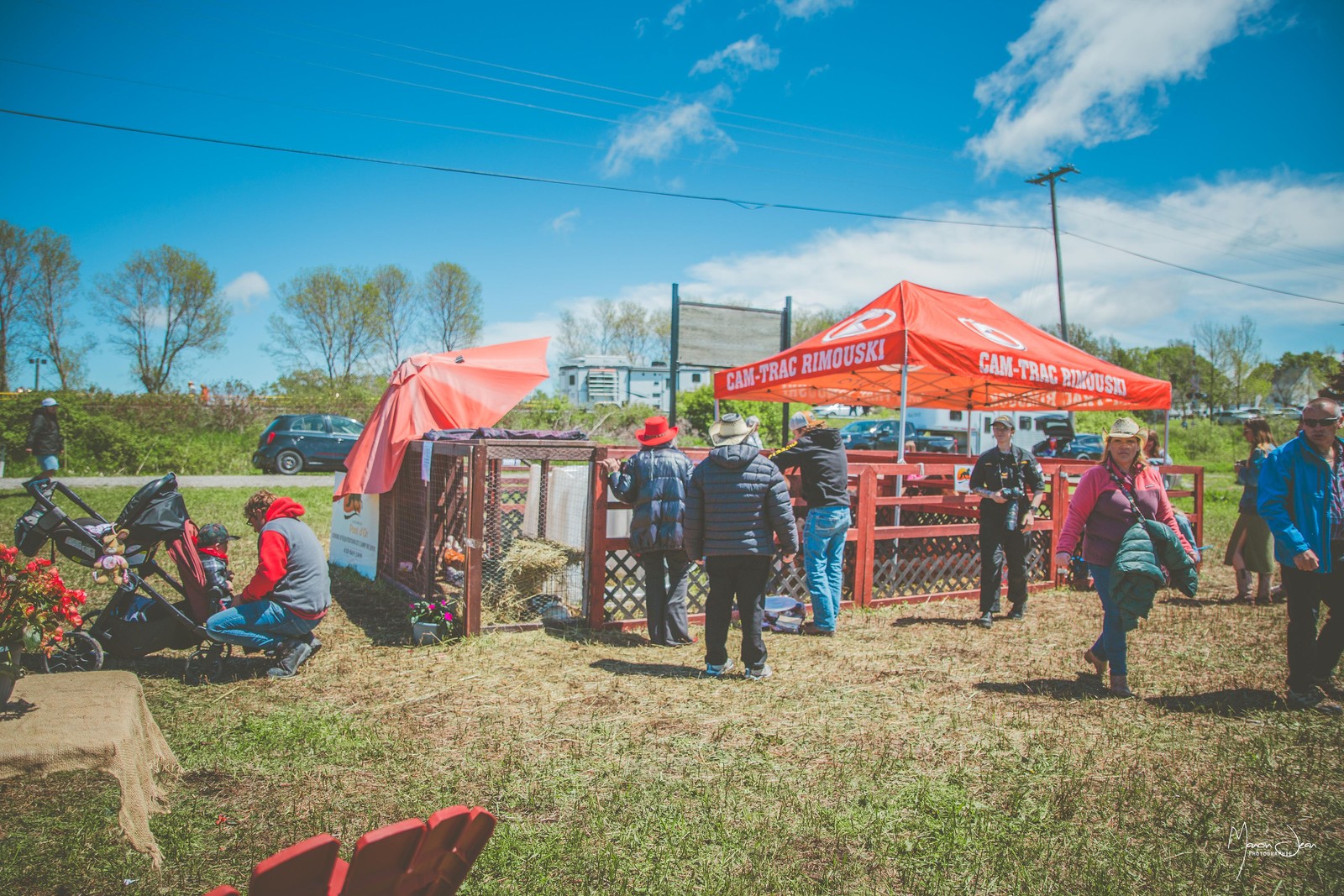Vue de la mini-ferme et des visiteurs au Festival en 2026 — photographie de Manon Jean
