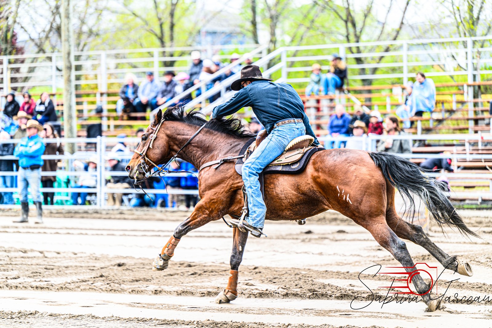 Action de gymkhana devant les gradins du Festival — archives 2026.