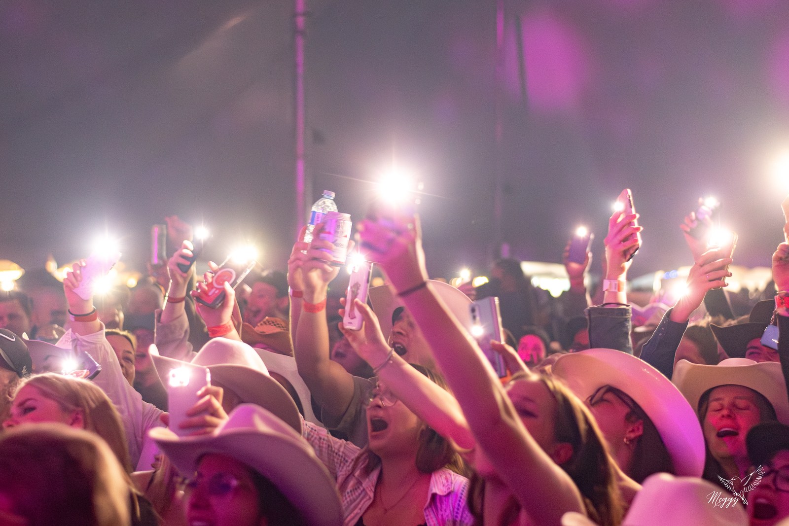 Le public lève ses téléphones lumineux pendant un spectacle du Festival en 2025.