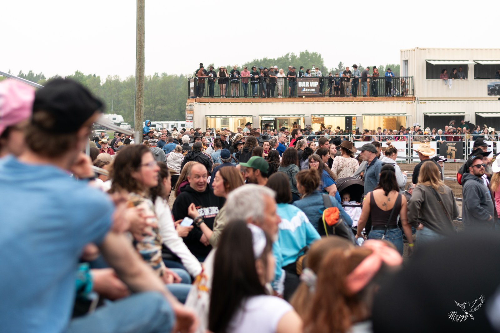 Une foule de festivaliers sur le site pendant l’édition 2025.