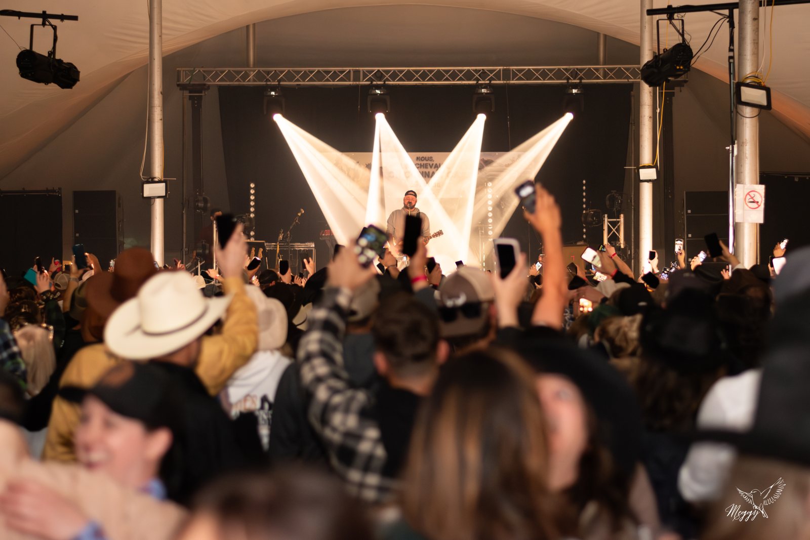 Le public réuni devant la scène illuminée pendant un spectacle au Festival.